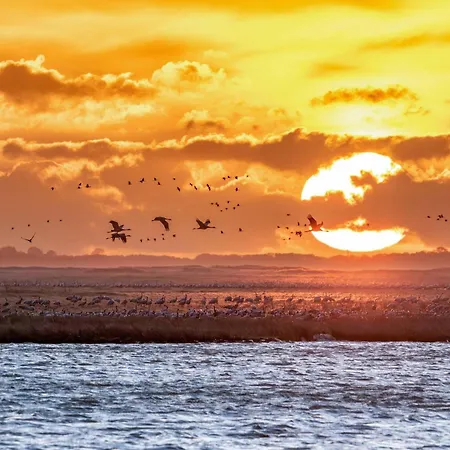 Dom wakacyjny Haus Sonnenschein Am Jabeler *
