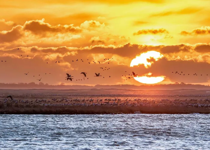 بيت للعطل Haus Sonnenschein Am Jabeler *